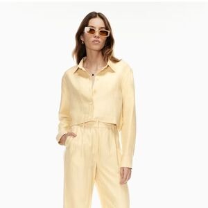 Aritzia Proposal Linen Shirt